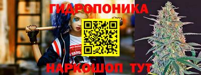 индика Славянск-на-Кубани