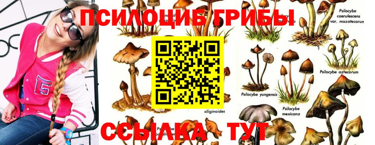 Реутов  Галлюциногенные грибы GOLDEN TEACHER  Вход с VPN 